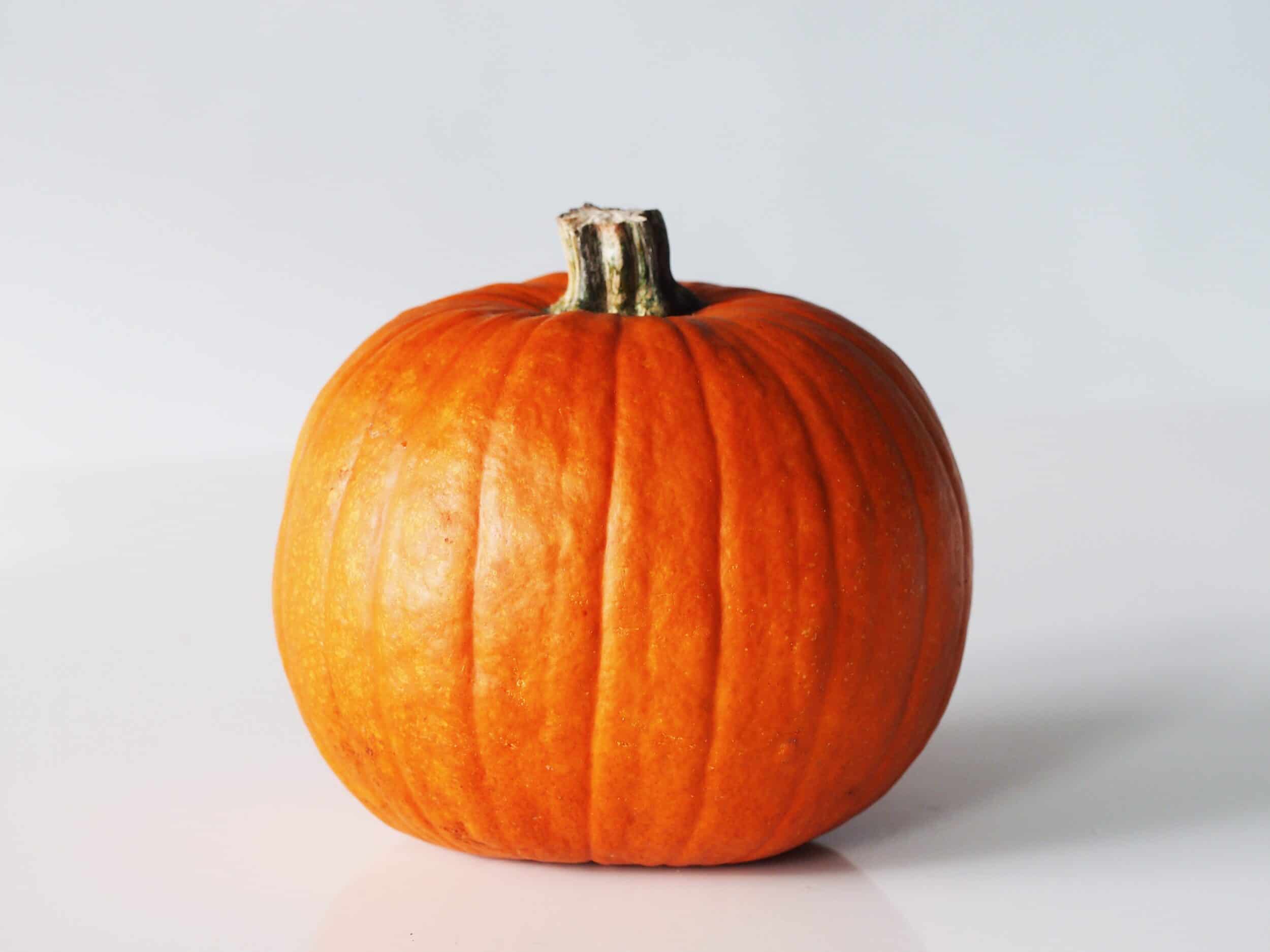 pumpkin for babies